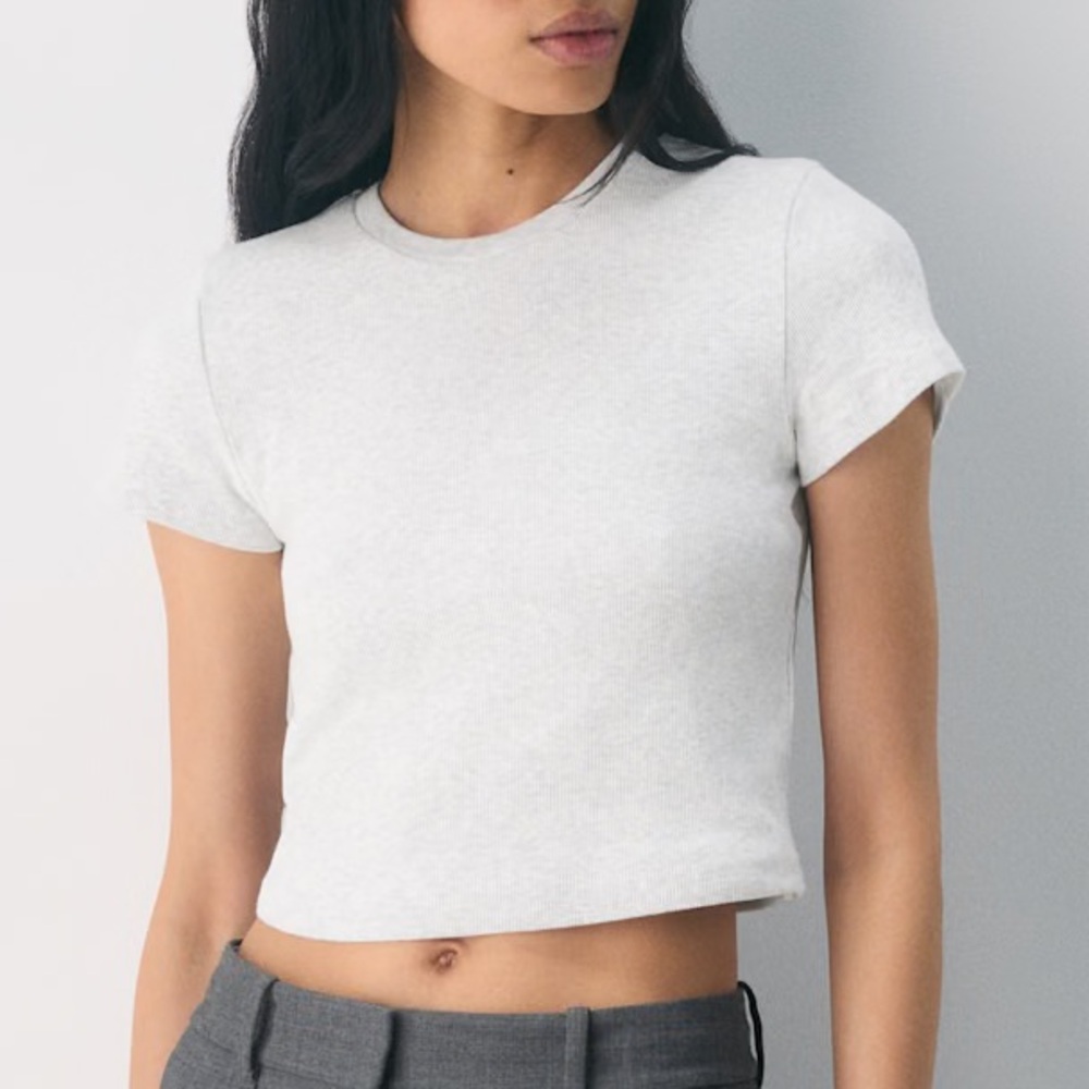 Aritzia TNA HomeStretch™ Rib Crew Waist T-Shirt Cropped Heather Cloud size Small